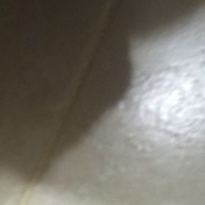 Meet your Posher, Mildred